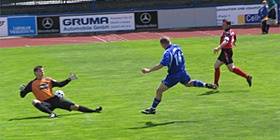 Tor für Grimma